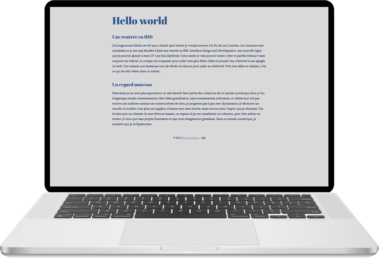 mock-up du site sur ordi